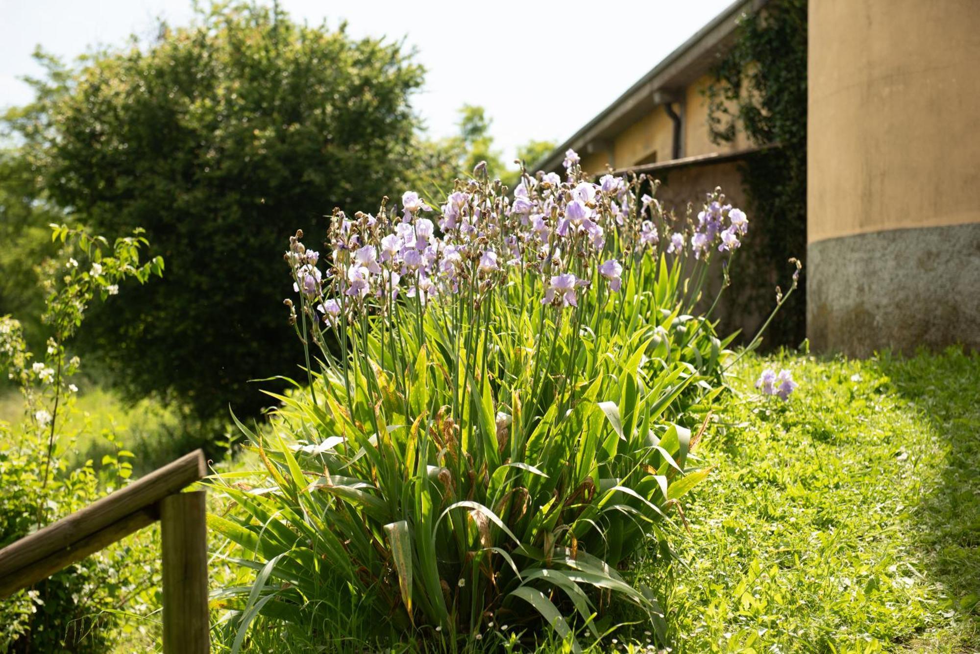 Country House Cascina Orto Pasturana Luaran gambar