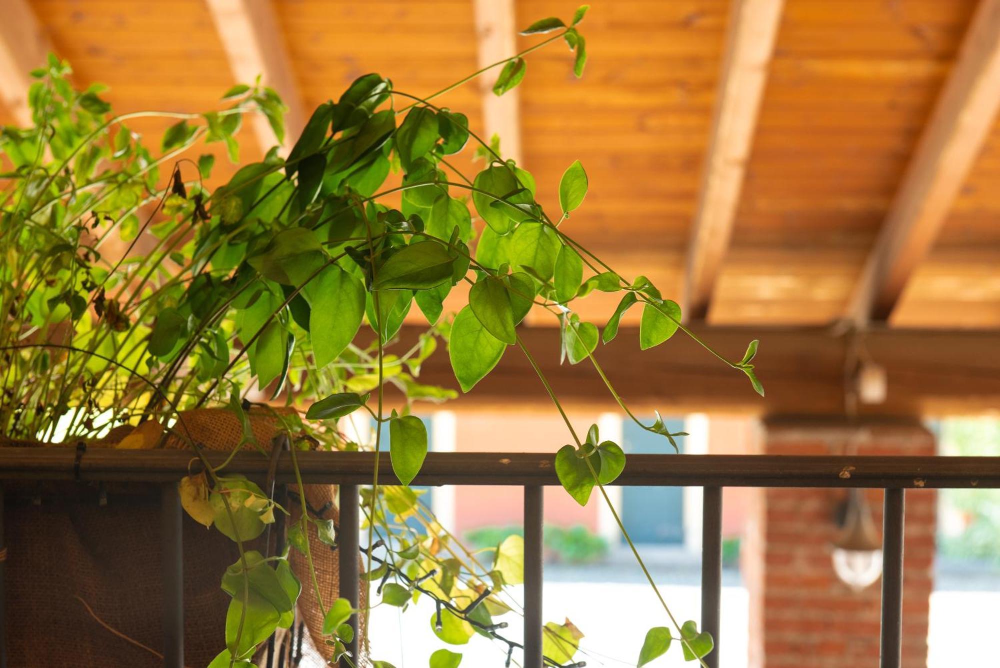 Country House Cascina Orto Pasturana Luaran gambar